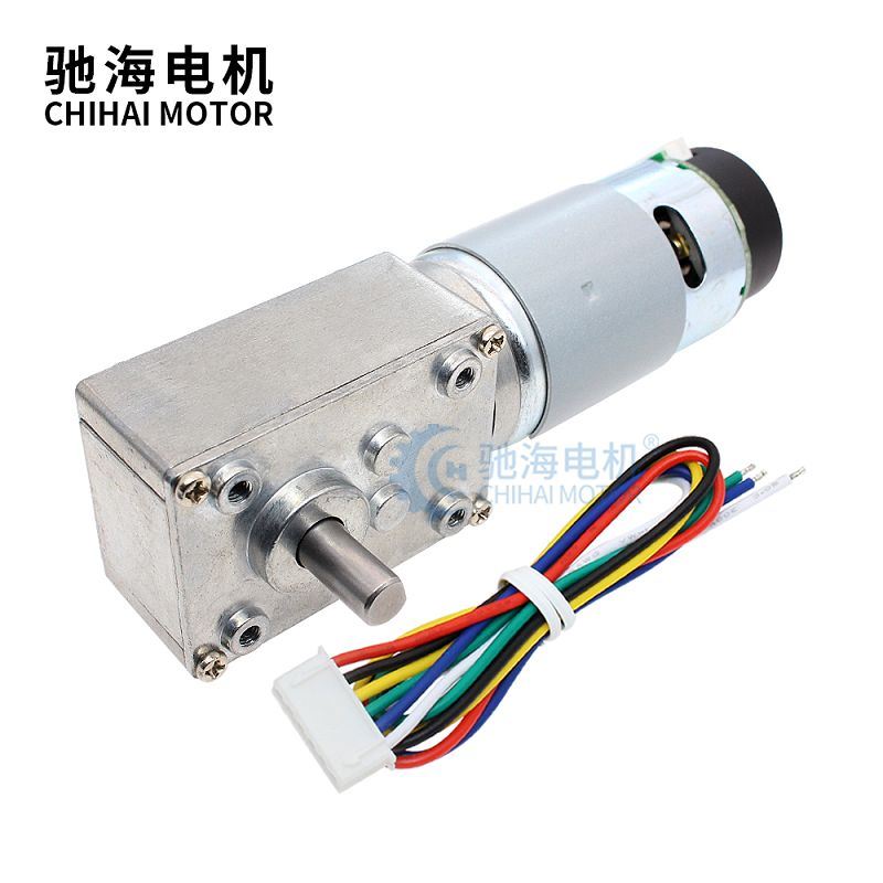 Worm Gear 555 Motor Self-locking High Torque With Hall Drive