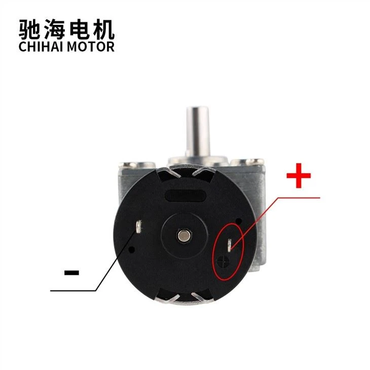 DC12V 24V Self-Locking Reversed Mini Turbine Geared 3429 Motor