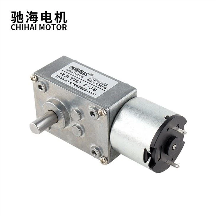 DC12V 24V Self-Locking Reversed Mini Turbine Geared 3429 Motor
