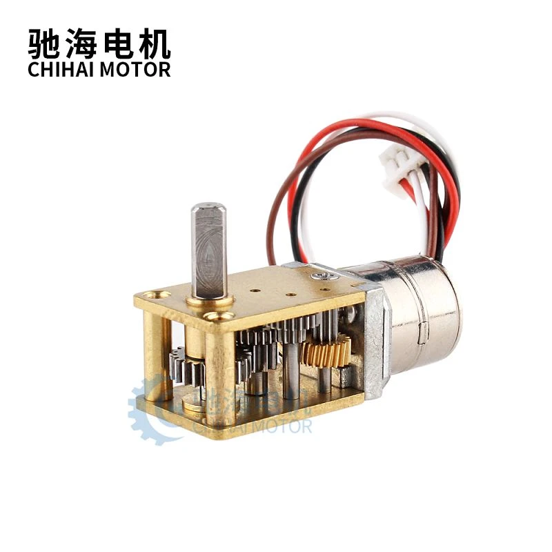 Micro Stepping Motor 10BY With Worm Gearbox